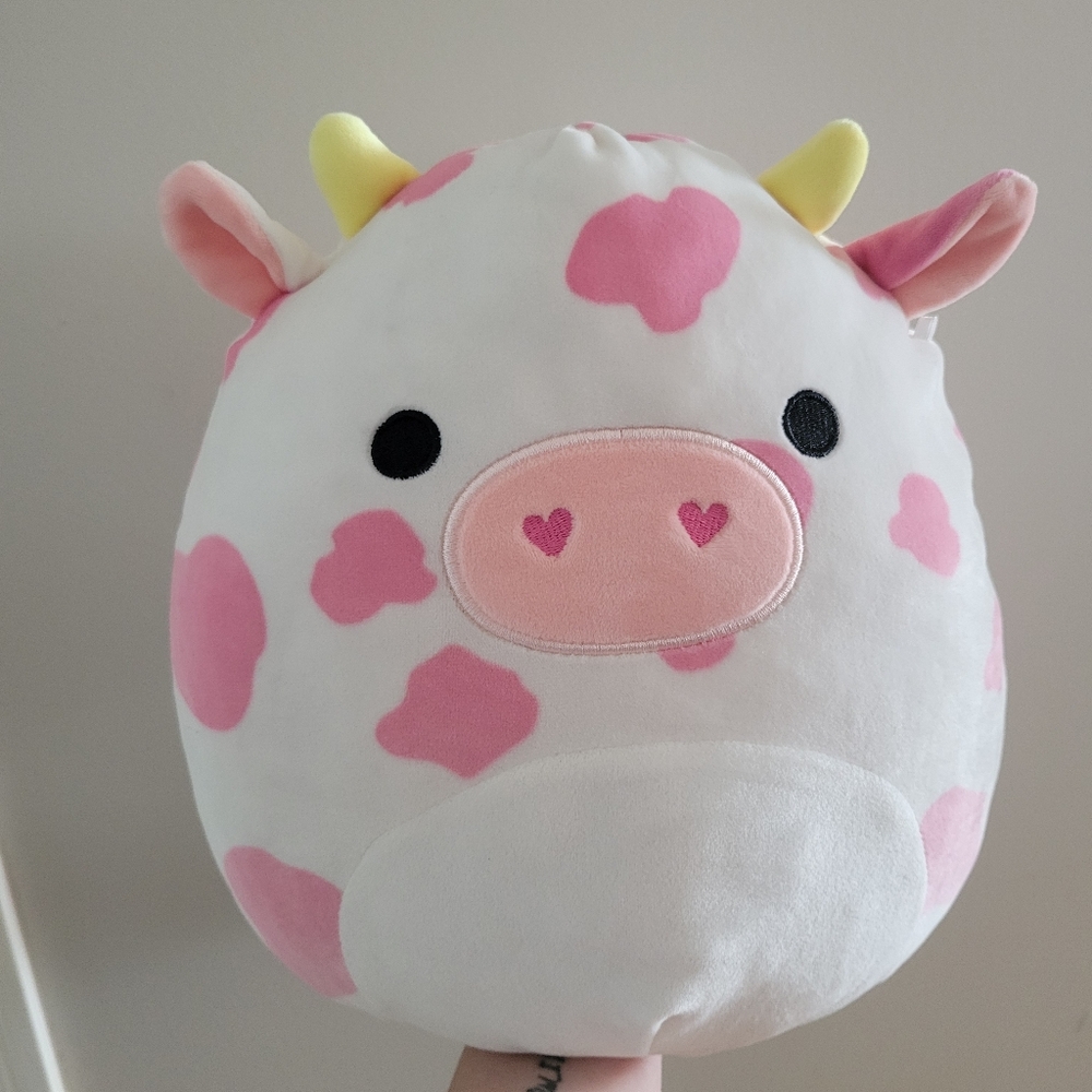 Evangelica Squishmallow